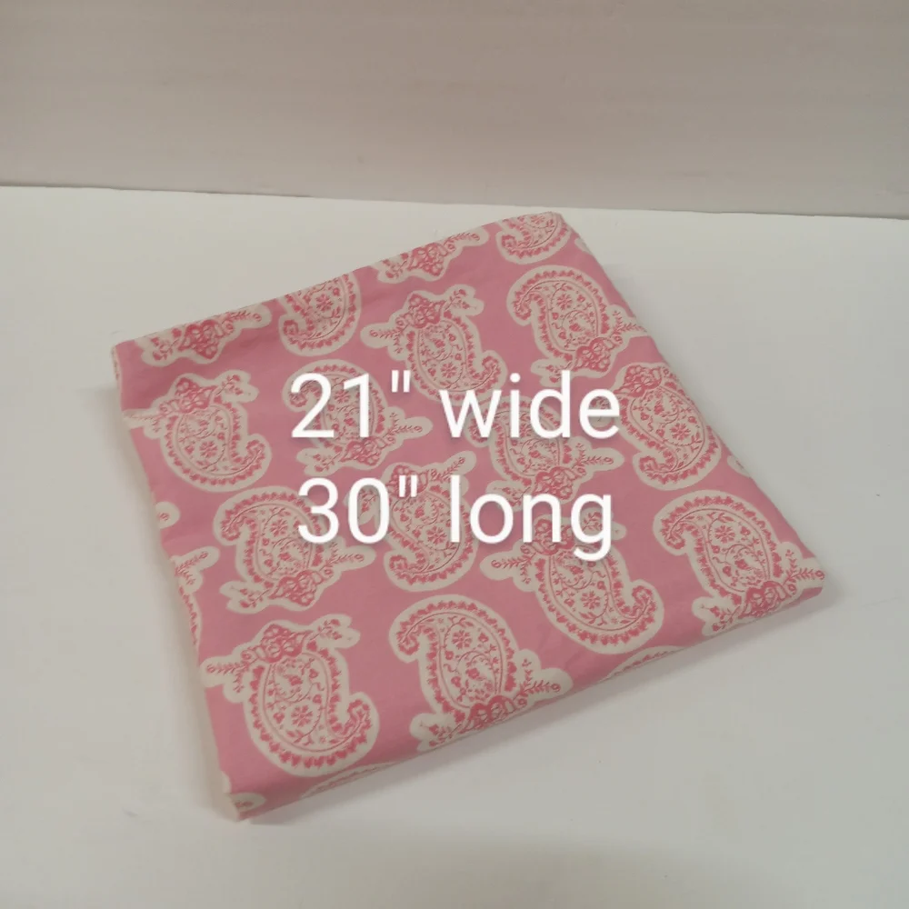 Pottery Barn Vintage PAIR Teen Pink Percale Paisley Pillow Shams